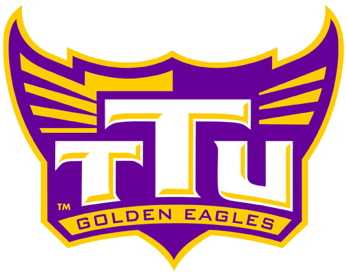 Tennessee Tech Golden Eagles 2006-Pres Alternate Logo v6 iron on transfers for fabric